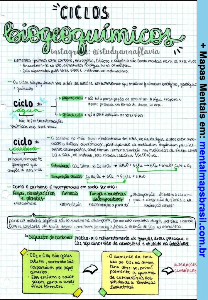 Mapa mental sobre ciclos bioquímicos explicando o ciclo da água, ciclo do carbono, fotossíntese, respiração celular, sequestro de carbono e gases estufa.