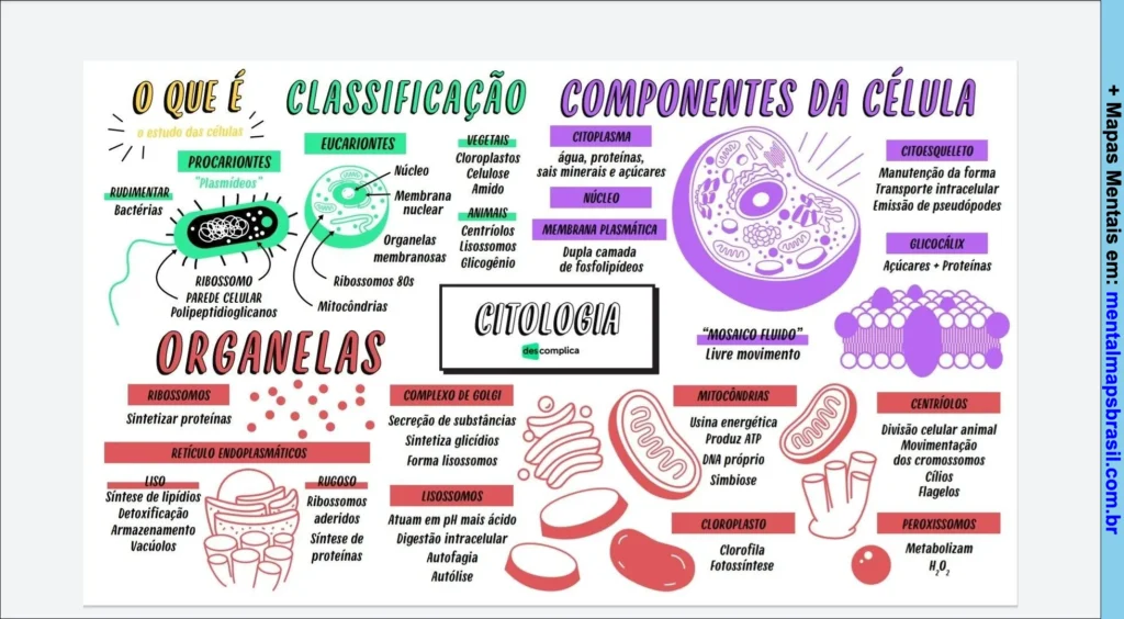 Mapa mental sobre citologia com classificação das células, componentes e organelas celulares.