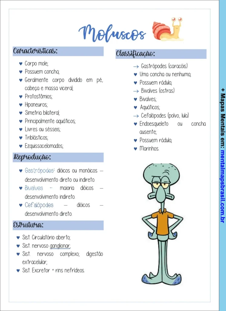 Mapa mental sobre moluscos com características, classificação, reprodução e estrutura dos animais.