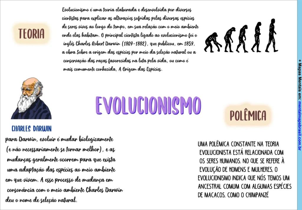 Mapa mental sobre Evolucionismo explicando a teoria, Charles Darwin e a polêmica relacionada à evolução humana.