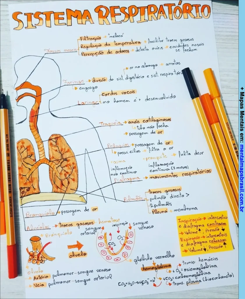 Mapa mental do sistema respiratório humano com ilustrações e explicações sobre as funções e partes do sistema, incluindo traqueia, pulmões, brônquios e processos de inspiração e expiração