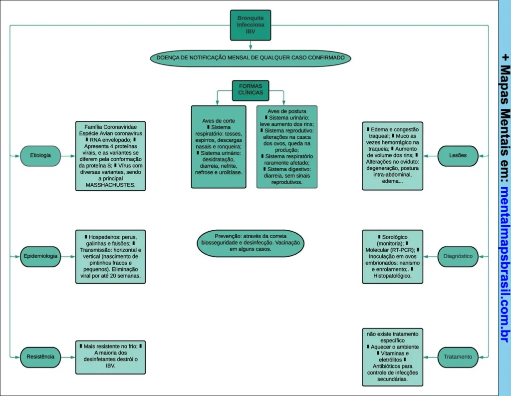 Fluxograma sobre bronquite infecciosa IBV com etiologia, epidemiologia, resistência, formas clínicas, lesões, diagnóstico e tratamento.