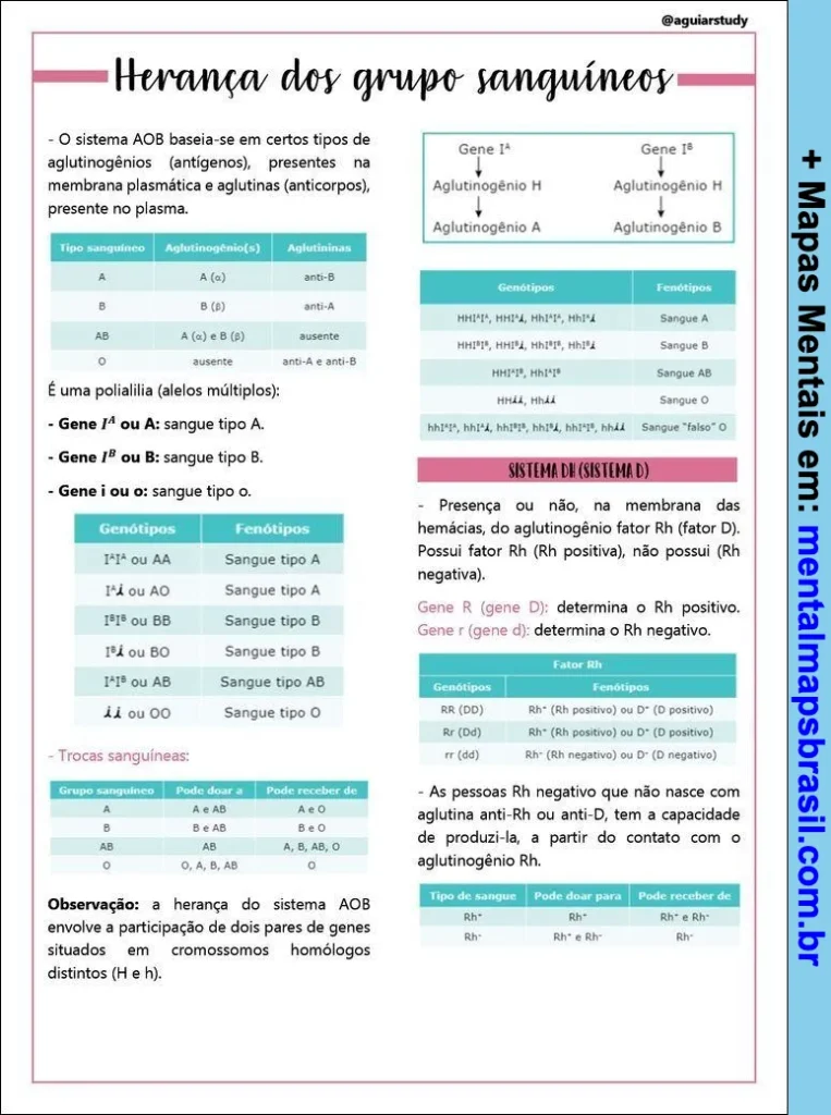 Diagrama explicativo sobre a herança genética dos grupos sanguíneos, incluindo sistema ABO, genótipos, fenótipos e o sistema Rh.