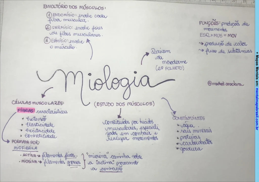 Miologia Mapas Mentais Mental Maps Brasil