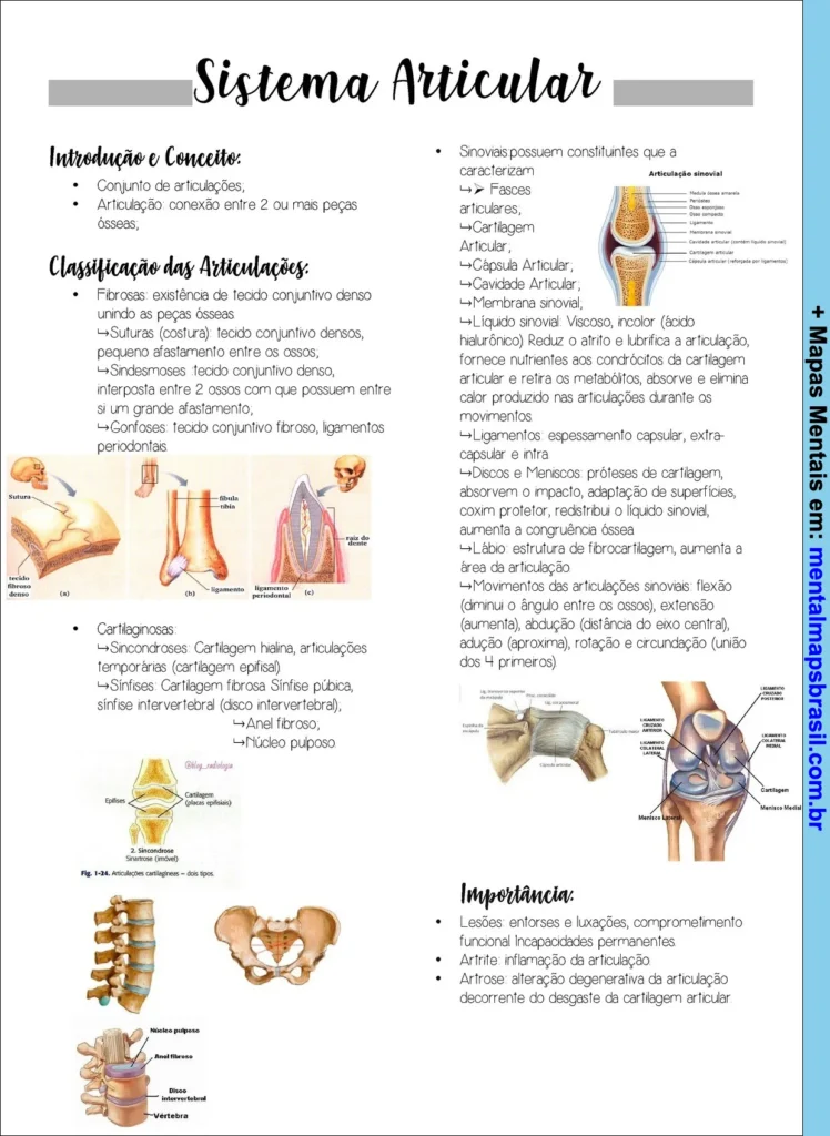 Mapa mental detalhado sobre o sistema articular, incluindo conceitos, classificação das articulações, características das sinoviais e importância.
