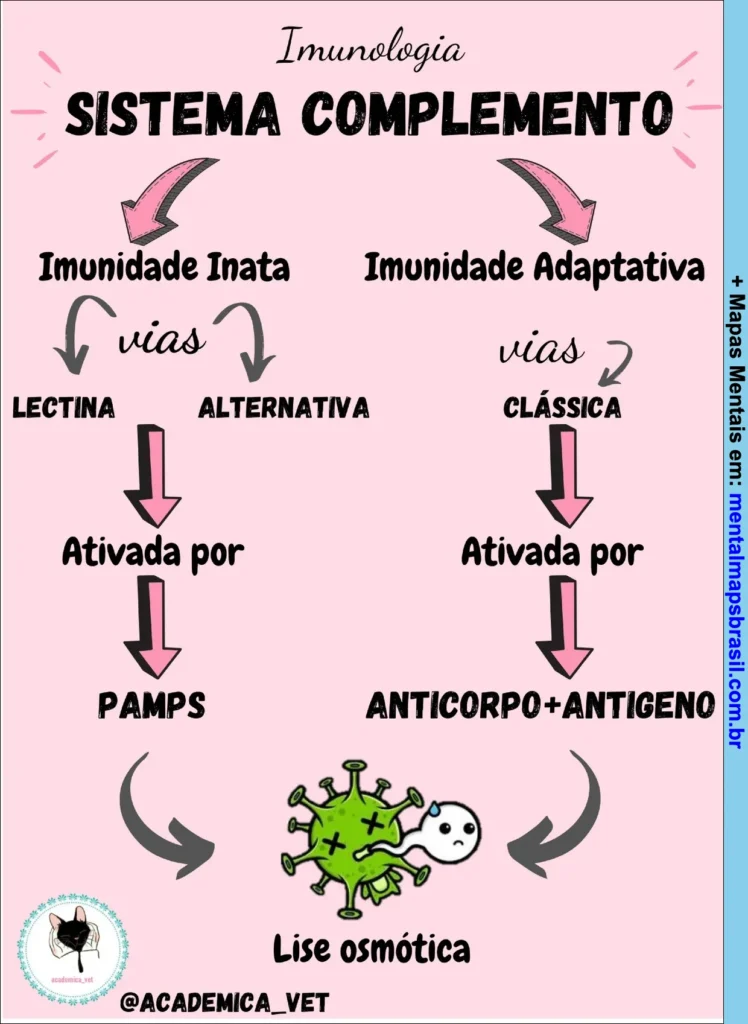 Mapa mental sobre o sistema complemento da imunologia, explicando vias da imunidade inata e adaptativa e seus mecanismos de ativação.