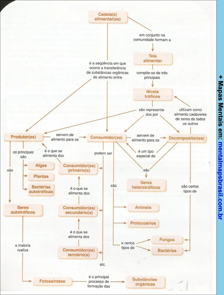 Mapa mental sobre cadeias alimentares, explicando níveis tróficos e interações entre seres autótrofos, consumidores e decompositores