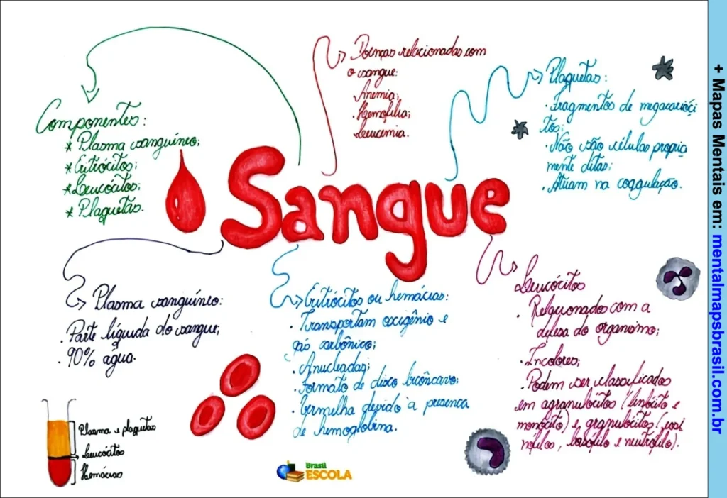 Mapa mental explicando os componentes do sangue, suas funções e doenças relacionadas.