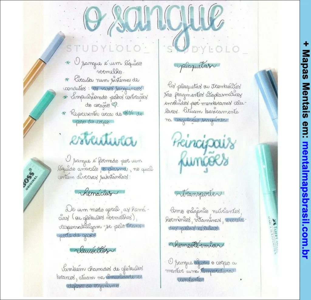 Mapa mental sobre o sangue com estrutura, funções principais, hemácias, leucócitos e plaquetas.