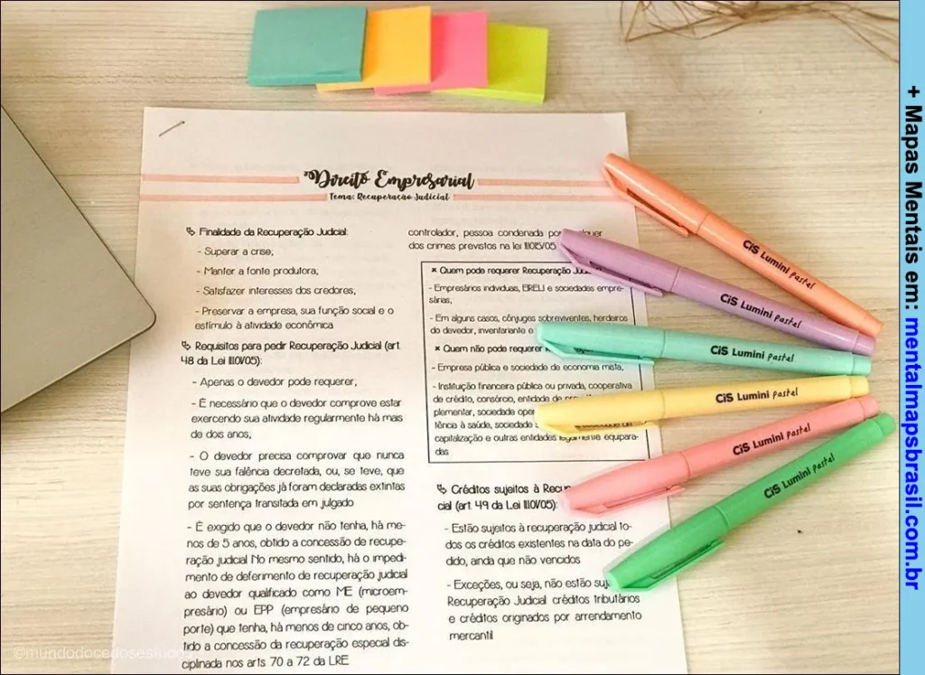 Documento sobre o projeto empresarial com anotações e destaques coloridos.