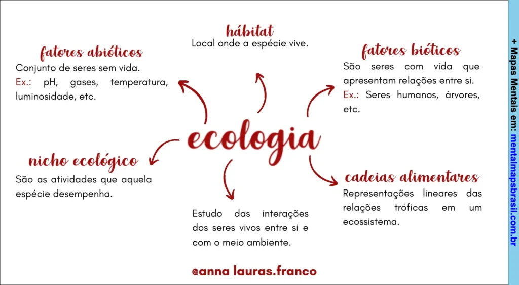 Mapa mental sobre ecologia destacando fatores abióticos, fatores bióticos, habitat, nicho ecológico e cadeias alimentares.