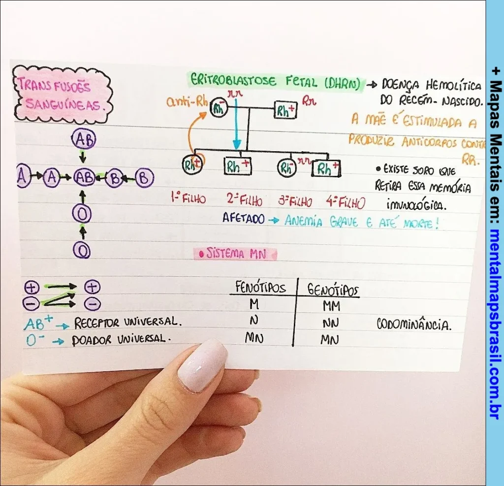 Mapa mental sobre transfusões sanguíneas com destaque para grupos sanguíneos, sistema Rh, eritroblastose fetal e sistema MN.