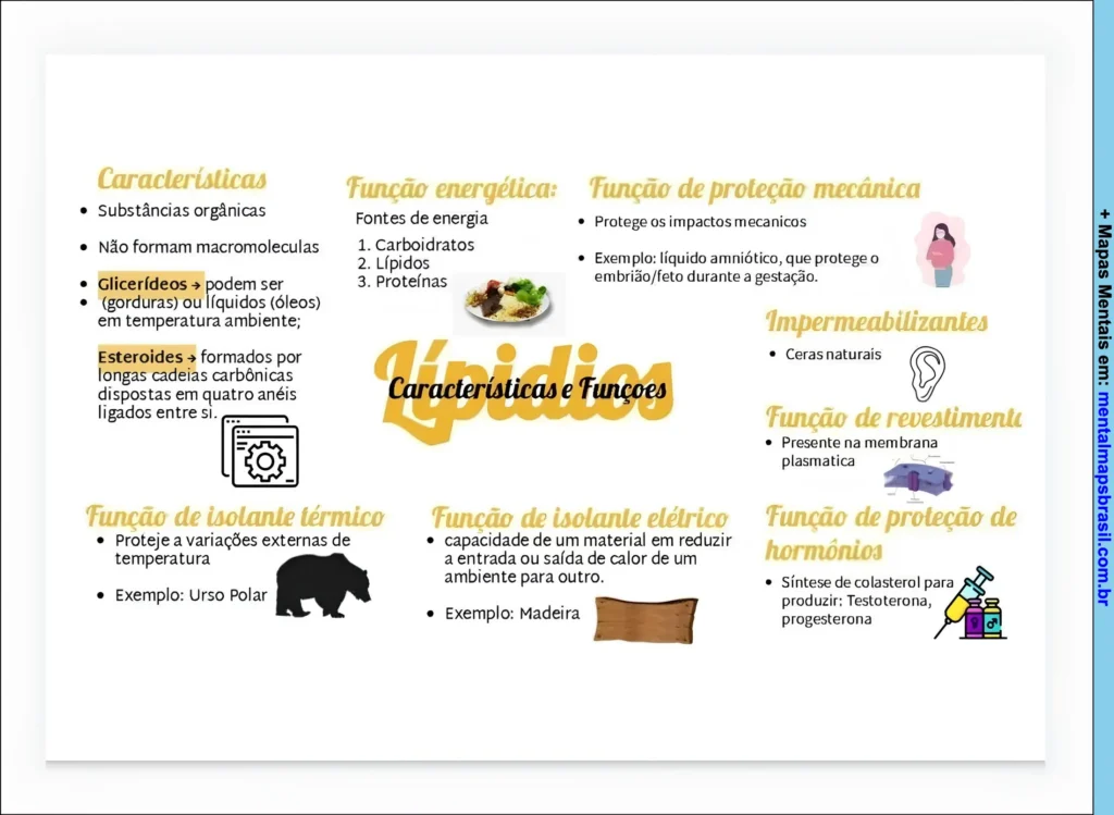 Mapa mental sobre lipídios com características, funções energéticas, de proteção mecânica, isolante térmico e elétrico, impermeabilizantes e hormonais