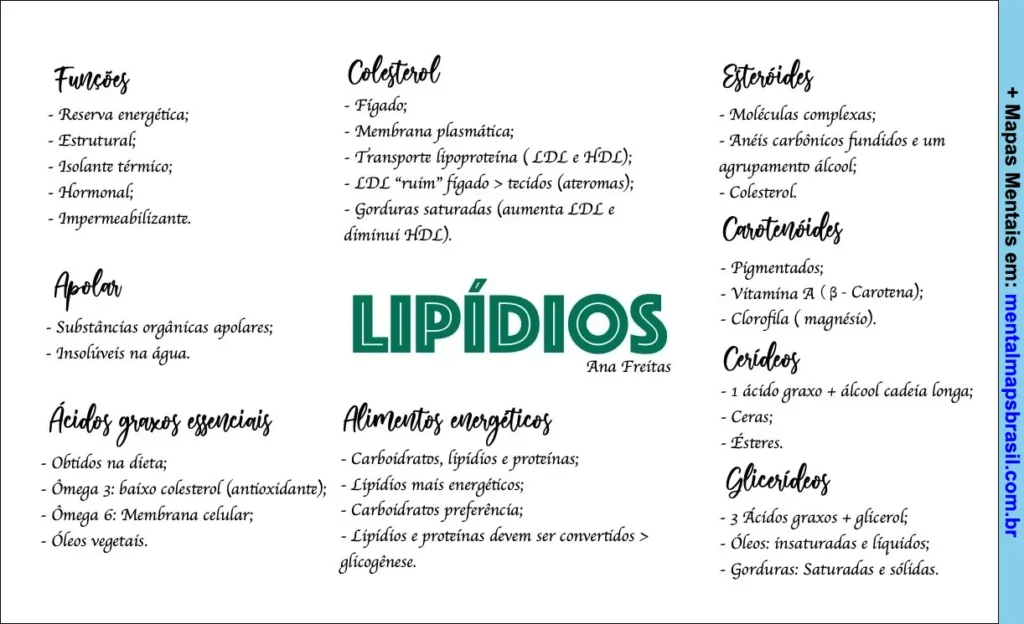 Mapa mental sobre lipídios com informações sobre funções, colesterol, ácidos graxos essenciais, carotenoides, alimentos energéticos e mais.