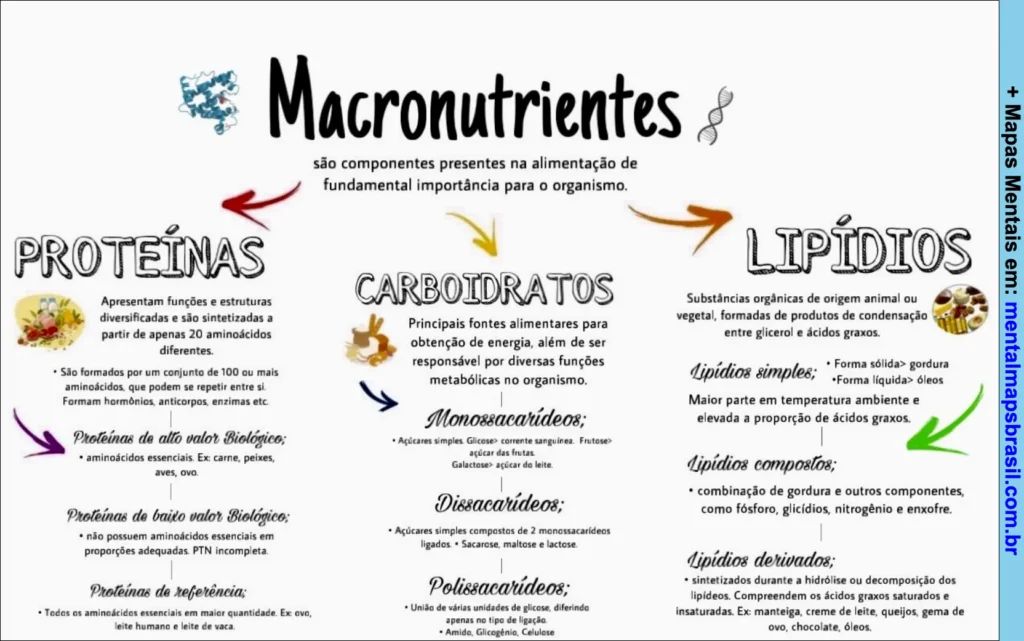 Mapa mental sobre macronutrientes incluindo proteínas, carboidratos e lipídios, com definições e exemplos.