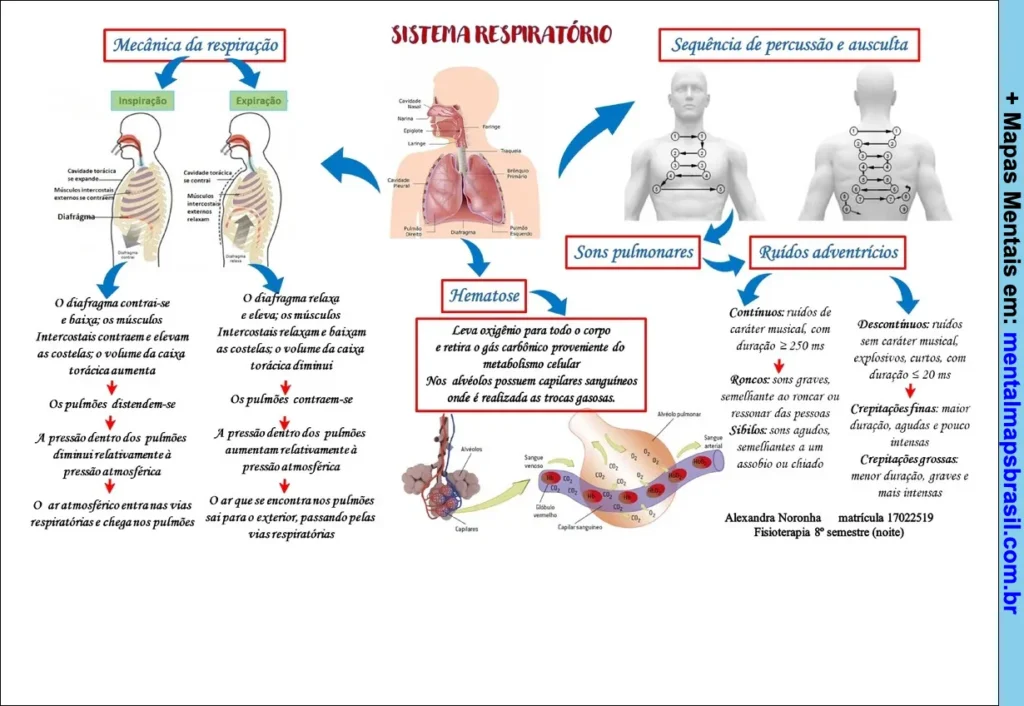 Mapa mental explicativo sobre o sistema respiratório, incluindo mecânica da respiração, hematose, sons pulmonares, ruídos adventícios e sequência de percussão e ausculta.