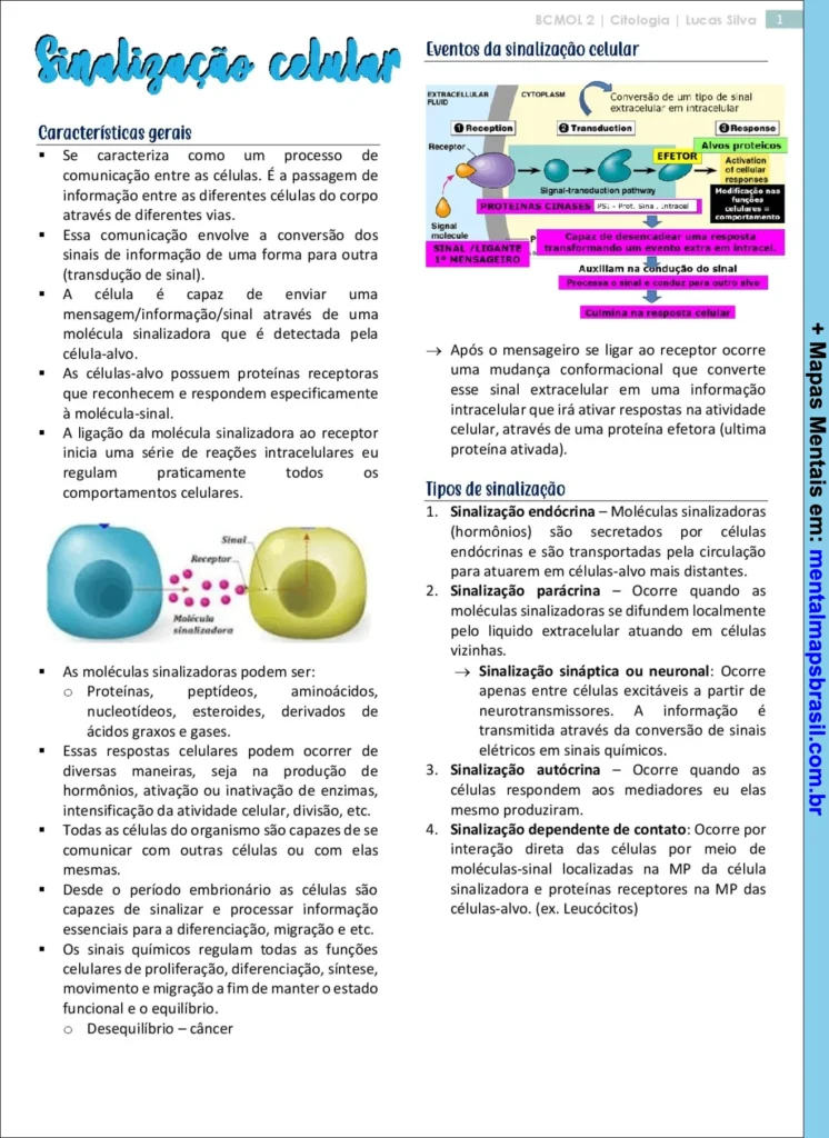 Mapa mental sobre sinalização celular, explicando características gerais, eventos da sinalização e tipos de sinalização.