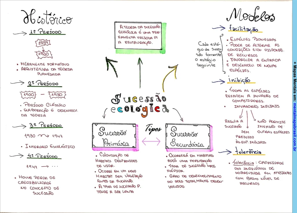 Mapa mental sobre sucessão ecológica com informações sobre histórico, tipos e modelos