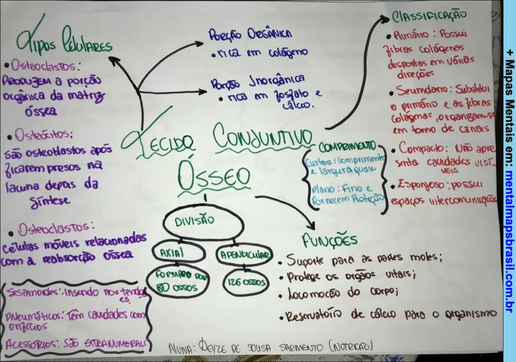 Mapa mental sobre tecido conjuntivo ósseo detalhando tipos celulares, porção orgânica e inorgânica, divisão, complementos, funções e classificação do tecido.