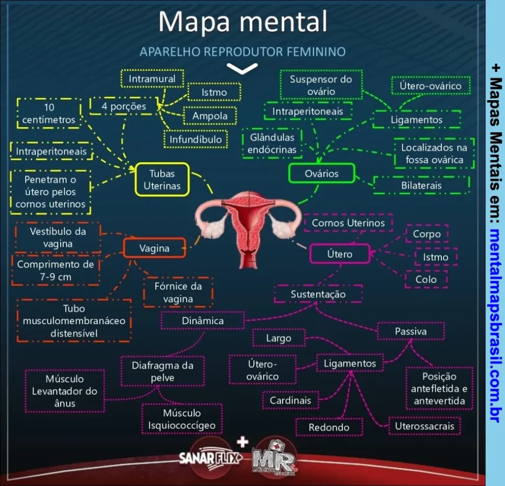 Mapa mental do aparelho reprodutor feminino com detalhamento das tubas uterinas, ovários, útero, vagina, sustenção e musculatura relacionada.