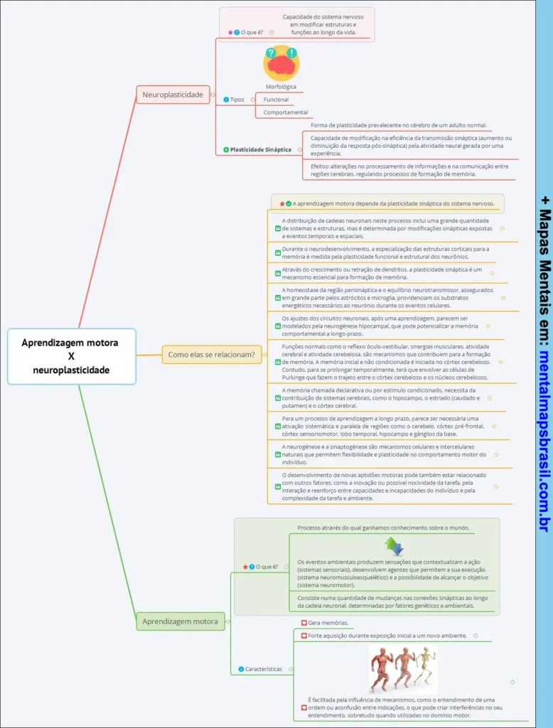 Mapa mental sobre a relação entre aprendizagem motora e neuroplasticidade, explicando conceitos, tipos e características.
