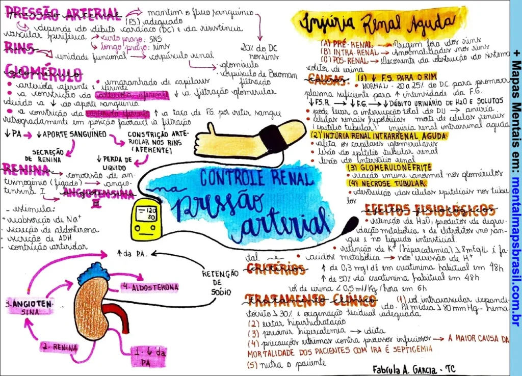 Mapa mental sobre controle renal e pressão arterial, abordando rins, glomérulo, sistema renina-angiotensina, e lesão renal aguda com causas, efeitos fisiológicos e tratamentos.