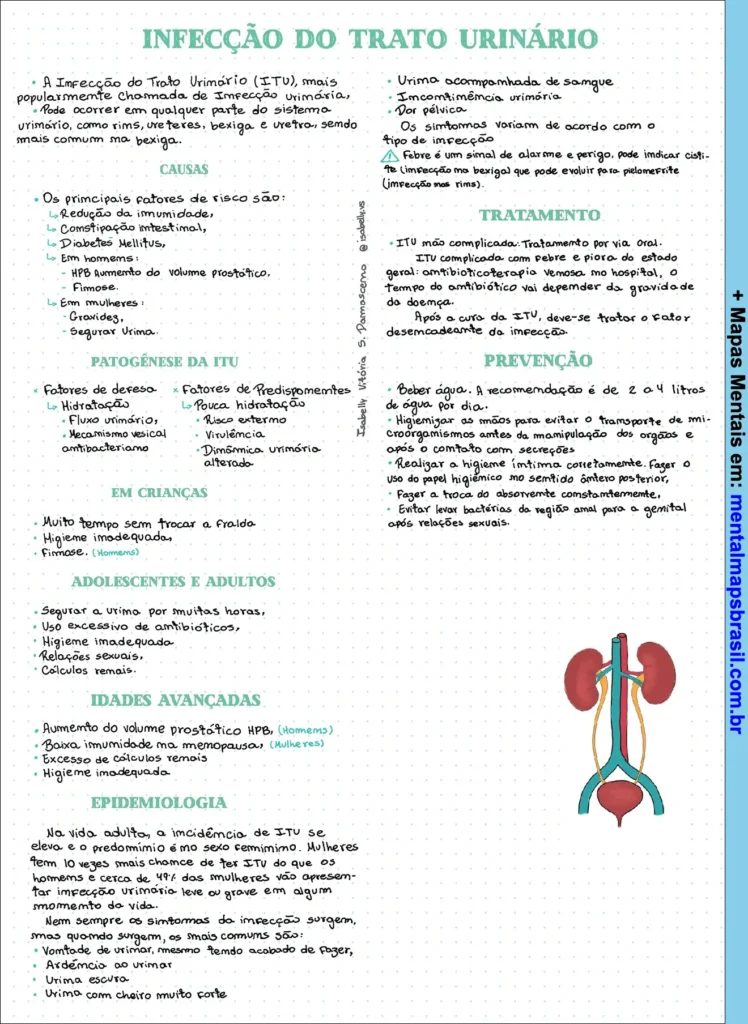 Mapa mental sobre Infecção do Trato Urinário com causas, patogênese, sintomas, tratamento, prevenção e grupos de risco.