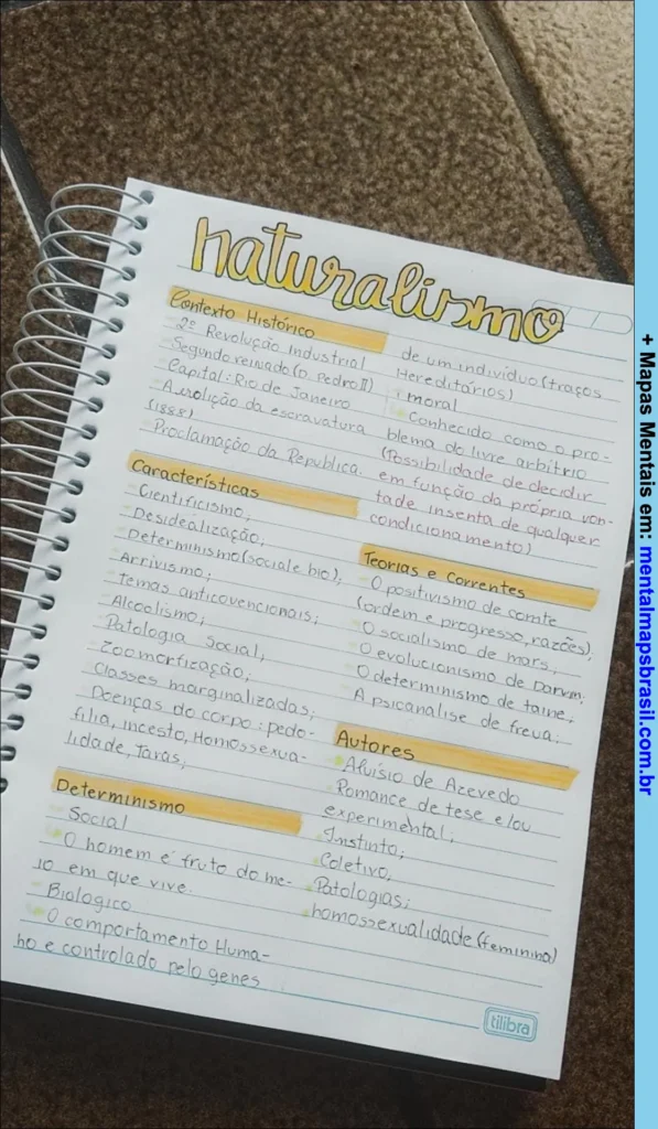 Página de caderno com anotações manuscritas sobre naturalismo, abordando contexto histórico, características, teorias e correntes, autores e determinismo social.