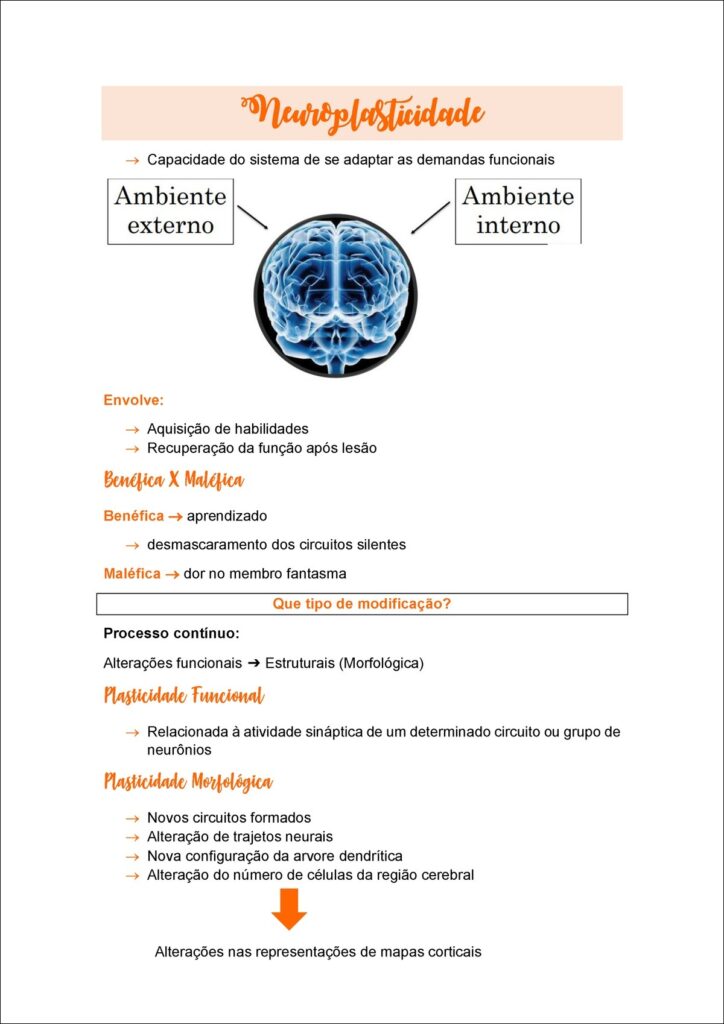 Mapa mental explicativo sobre neuroplasticidade abordando capacidades funcionais, tipos de plasticidade e suas características.