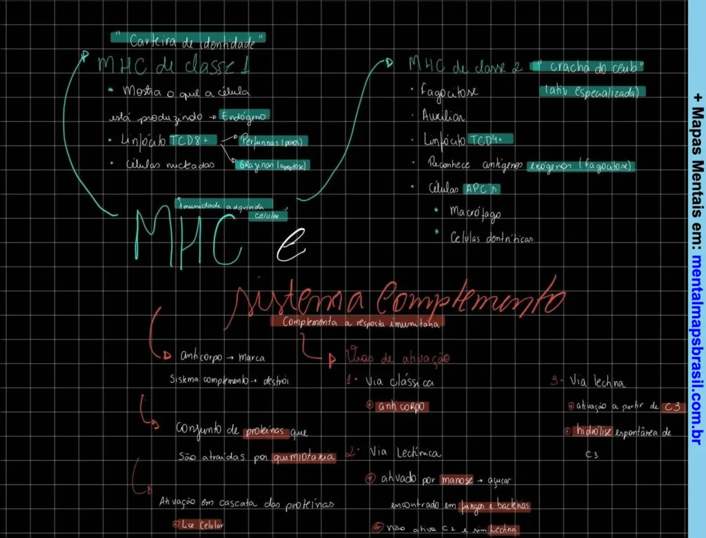 Mapa mental sobre o sistema imunológico, detalhando o Complexo Principal de Histocompatibilidade (MHC) e o sistema complemento.