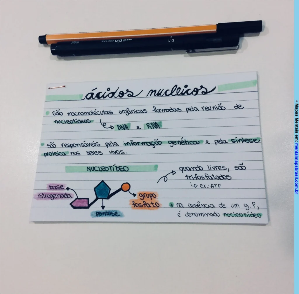 Mapa mental sobre ácidos nucleicos explicando sua composição, função e estrutura dos nucleotídeos.