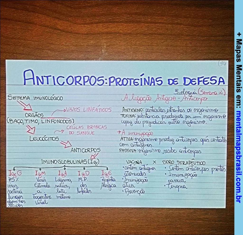 Mapa mental sobre anticorpos e proteínas de defesa explicando o sistema imunológico, tipos de imunoglobulinas, e diferenças entre vacina e soro terapêutico.