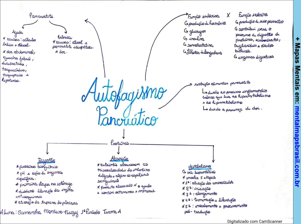 Mapa mental sobre autofagismo pancreático abordando causas, funções, proteínas e processos bioquímicos.