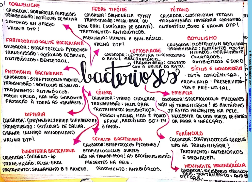 Mapa mental sobre bacterioses com causas, transmissões, sintomas, tratamentos e vacinas.