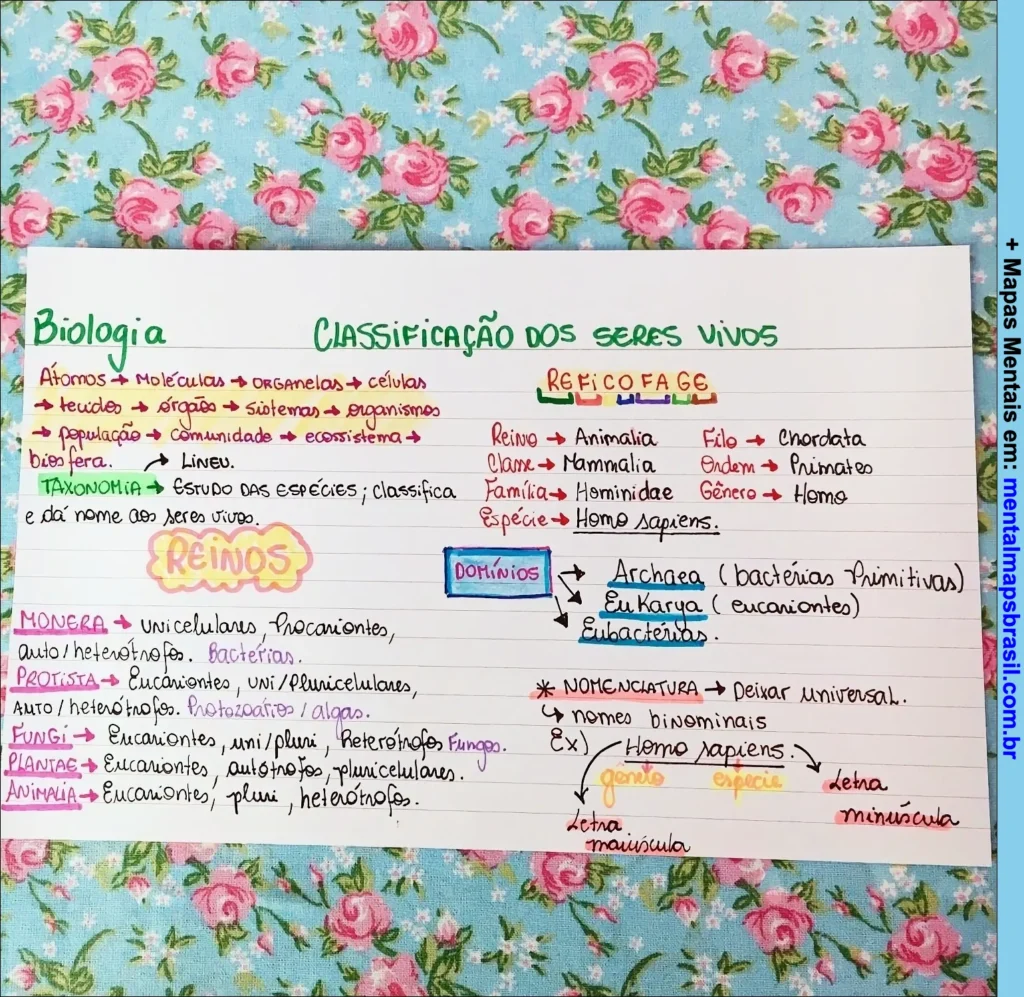 Mapa mental sobre a classificação dos seres vivos, abordando níveis de organização biológica, taxonomia, reinos, domínios e nomenclatura científica.