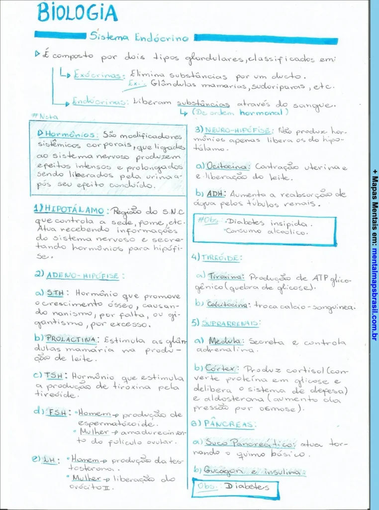 Mapa mental sobre o sistema endócrino, detalhando os tipos de glândulas, hormônios, órgãos envolvidos e suas funções.