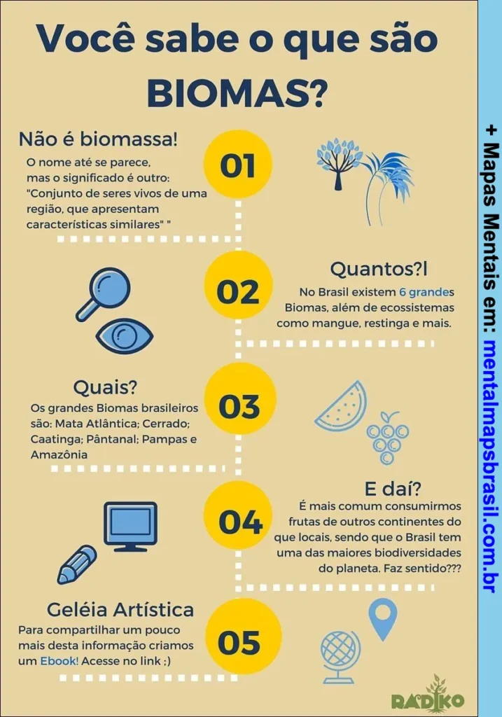 Infográfico explicativo sobre o que são biomas, os tipos brasileiros e sua importância para a biodiversidade.