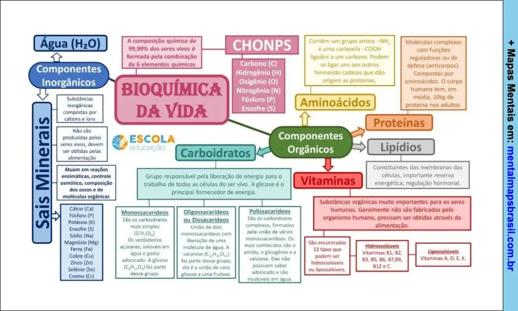 Mapa mental sobre bioquímica da vida, explicando os componentes inorgânicos e orgânicos, elementos químicos e funções dos principais grupos moleculares.