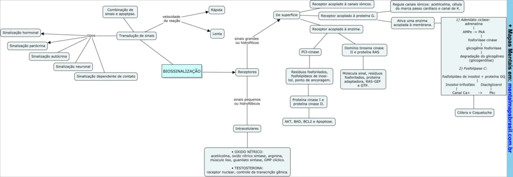 Mapa mental sobre biossinalização explicando transdução de sinais, tipos de sinalização, receptores e mecanismos celulares.