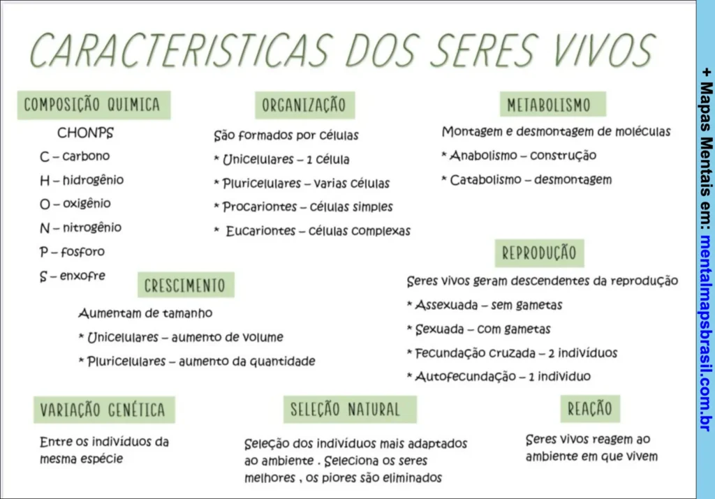 Mapa mental com as características dos seres vivos, incluindo composição química, organização celular, metabolismo, crescimento, reprodução, variação genética, seleção natural e reação ao ambiente.