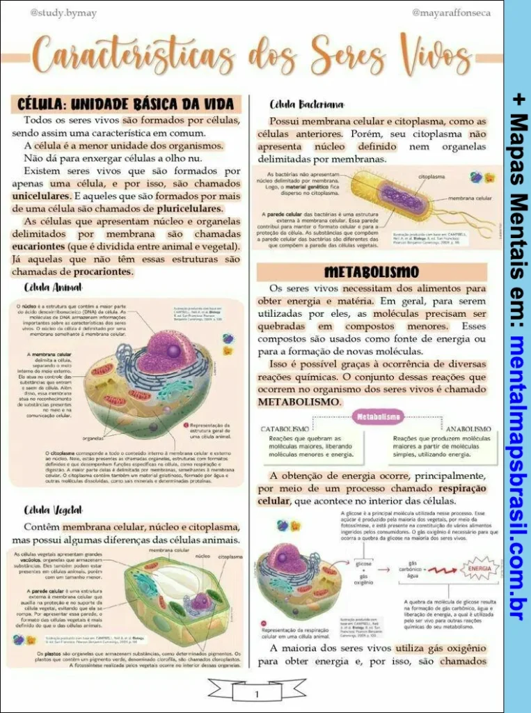 Mapa mental detalhado explicando as características dos seres vivos, incluindo célula, metabolismo e estrutura celular.