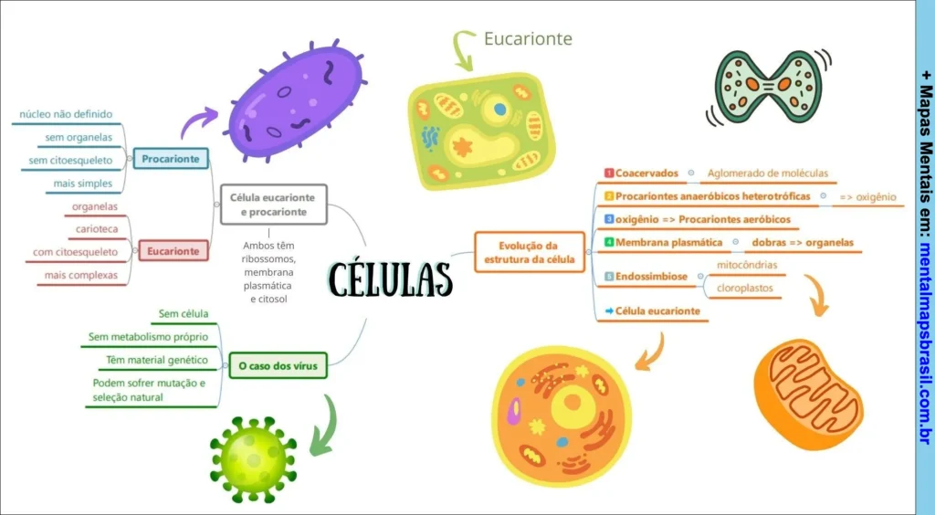 Mapa mental colorido sobre células, comparando células procariontes e eucariontes, evolução celular e características dos vírus.