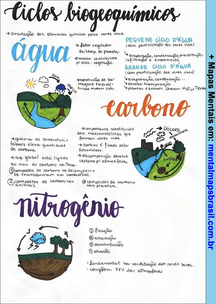 Mapa mental explicando os ciclos biogeoquímicos da água, carbono e nitrogênio, com descrições e ilustrações sobre sua importância e etapas.