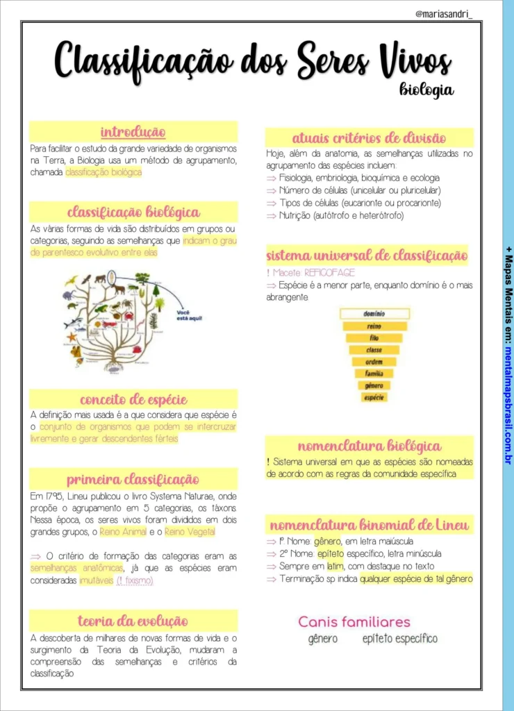 Mapa mental sobre classificação dos seres vivos em biologia, abordando introdução, classificação biológica, conceito de espécie, primeira classificação, teoria da evolução, critérios de divisão, sistema universal de classificação, nomenclatura biológica e nomenclatura binomial de Lineu.