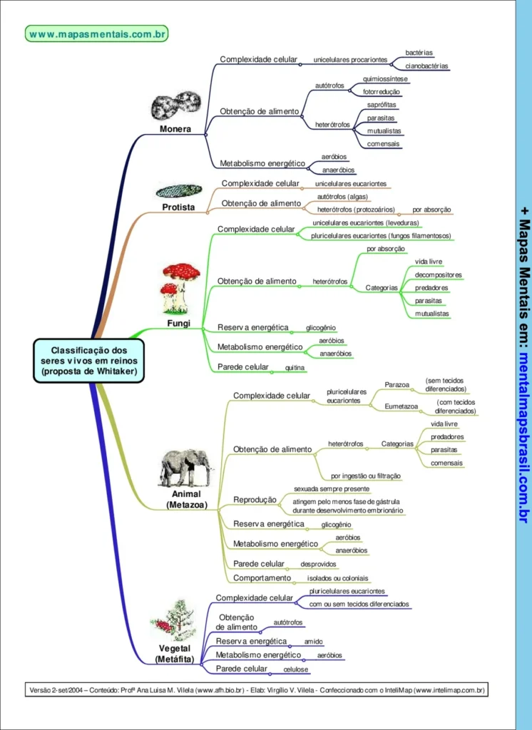 Mapa mental sobre a classificação dos seres vivos em reinos segundo a proposta de Whittaker, incluindo Monera, Protista, Fungi, Animal e Vegetal.