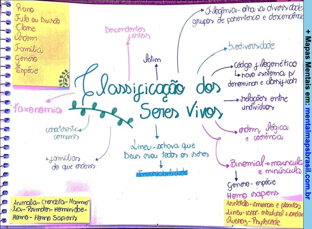 Mapa mental sobre classificação dos seres vivos abordando taxonomia, descendentes e sistema binomial.