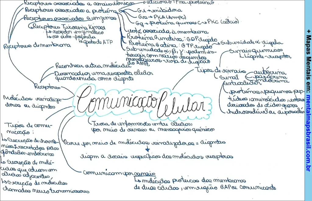 Mapa mental sobre comunicação celular abordando tipos de comunicação, receptores, sinais químicos e moléculas sinalizadoras.