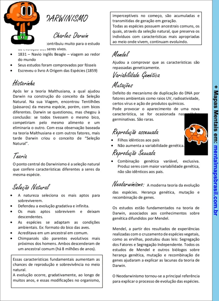 Mapa mental sobre o darwinismo, explicando a teoria de Charles Darwin, seleção natural, mutações, reprodução e neodarwinismo.