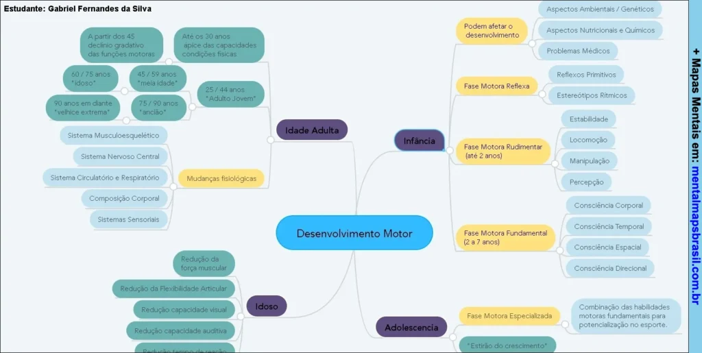 Mapa mental sobre o desenvolvimento motor, detalhando as fases da infância, adolescência, idade adulta e idade idosa com suas características fisiológicas e motoras.