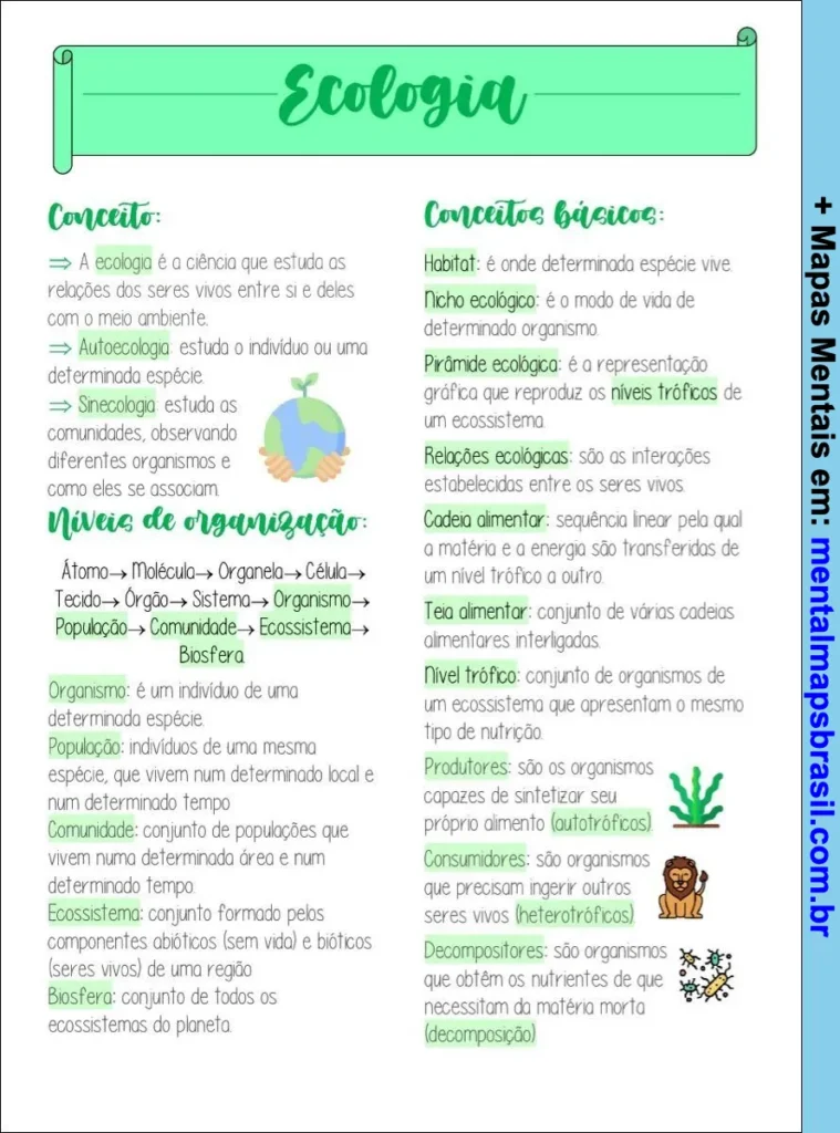 Mapa mental sobre ecologia que define conceitos básicos, níveis de organização, habitat, nicho ecológico, cadeia alimentar e tipos de organismos.